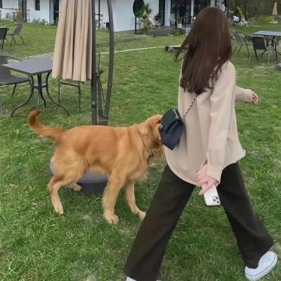 先生的朋友圈